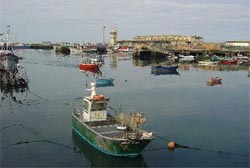 Excesso de areia nos portos de Vila do Conde e Póvoa prejudica pescadores