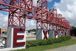 Metade do capital da Exponor vendida a grupo belga