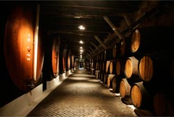 Venda de vinho do Porto gerou receitas de 138 milhões