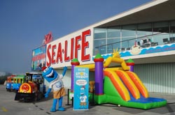 Sea Life cria área de diversão para crianças