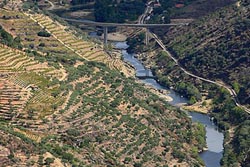 Ambientalistas estranham aprovação para a barragem do Tua