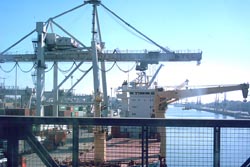 ACP reclama início das obras no Porto de Leixões