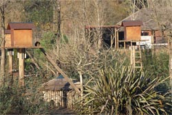 Zoo de Santo Inácio foi assaltado mas os 25 mil euros furtados já foram recuperados