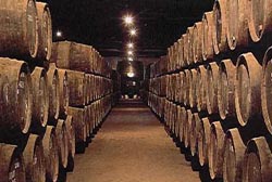 Região Demarcada do Douro vai produzir 100 mil pipas de Vinho do Porto este ano