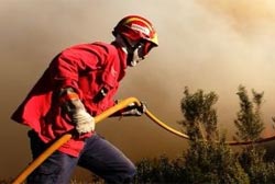 Mais dois mil incêndios florestais no distrito no 1.º semestre