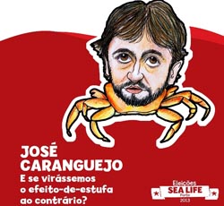Sea Life Porto apresenta oito novos candidatos às “autárquicas”