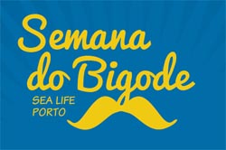 Bigodes solidários vão a votos no Sea Life