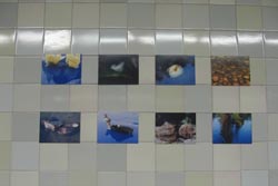 Arte da FBAUP leva “movimento” à estação de metro de São Bento