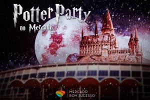 Festa mágica de Harry Potter no Porto