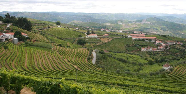 Gaia recebe International Wine Tourism Conference