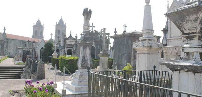 Cemitério da Lapa volta a ser palco de visitas guiadas
