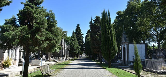 Visitas guiadas pelos cemitérios do Porto