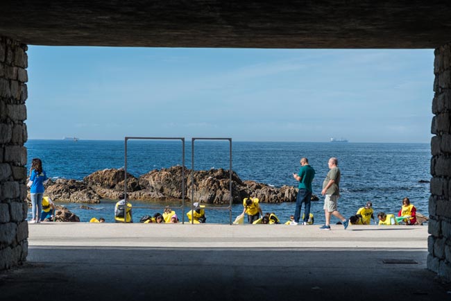 Sea Life Porto assinala dez anos de história com “Mega Limpeza de Praia”