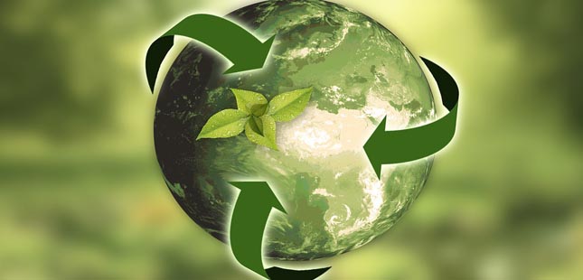 Reciclagem cresce 13% em ano de pandemia