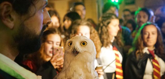 Visitas guiadas pelo Porto assinalam aniversário de Harry Potter