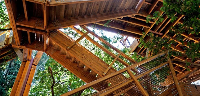 “Treetop Walk” de Serralves abre ao público este sábado