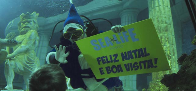 Sea Life Porto organiza ação solidária para assinalar o Natal