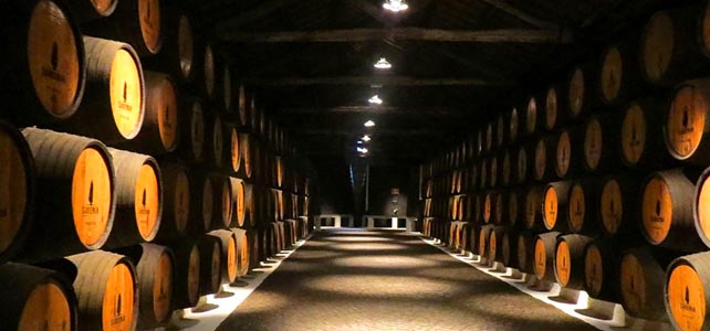 Caves de vinho do Porto receberam mais de 1,3M de visitantes em 2019