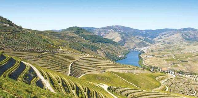 Portugal e Espanha juntam-se para promover a região Douro/Duero