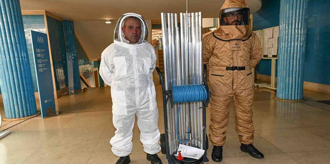 Matosinhos reforça equipas e meios no combate à vespa asiática