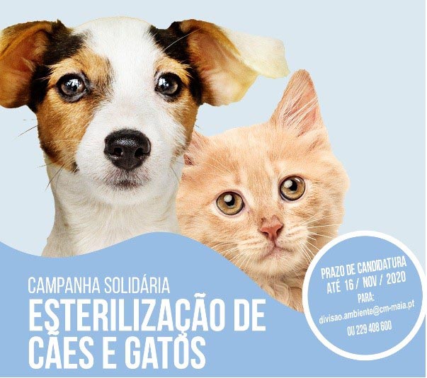 Maia promove “Campanha de Esterilização Solidária de Cães e Gatos”