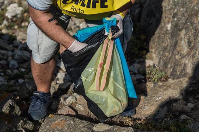 Sea Life Porto promove limpeza de praia esta quinta-feira
