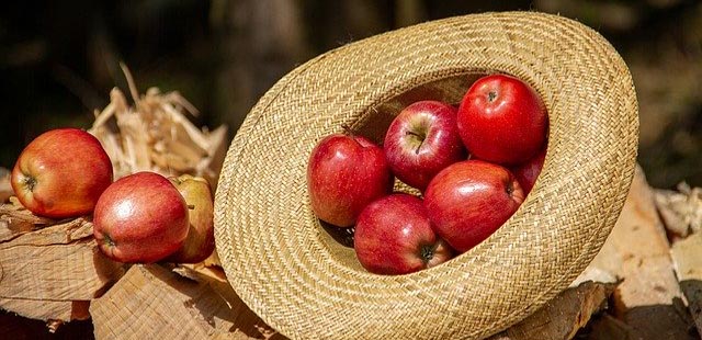 Os benefícios da maçã