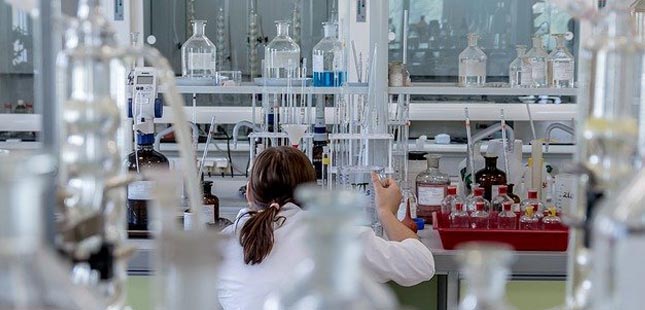 Investigadores do Porto apostam em vacina comestível contra a Covid-19