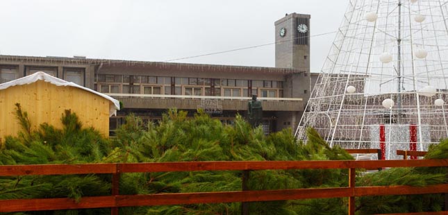 Câmara de Santo Tirso volta a oferecer pinheiros de Natal aos munícipes