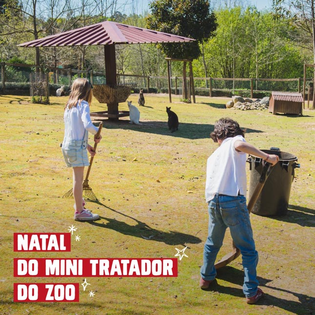 Zoo Santo Inácio propõe um presente especial para crianças