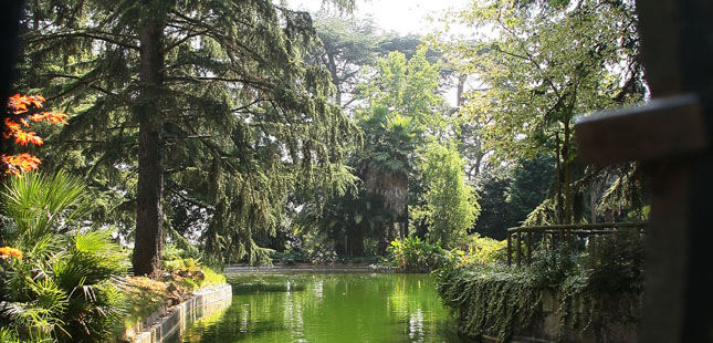 Lago do Palácio de Cristal vai ser reabilitado