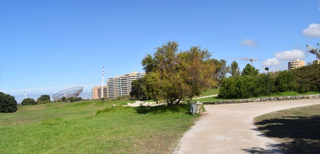 Expansão do Parque da Cidade proporciona mais área verde ao Queimódromo