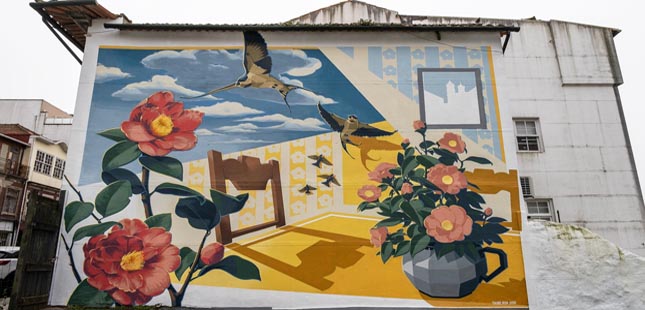 Porto eterniza flor da cidade em mural