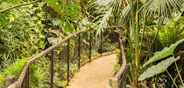 Zoo Santo Inácio inaugura “Mundo Tropical”