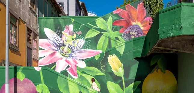 Porto tem novo mural inspirado na “pintura clássica botânica”