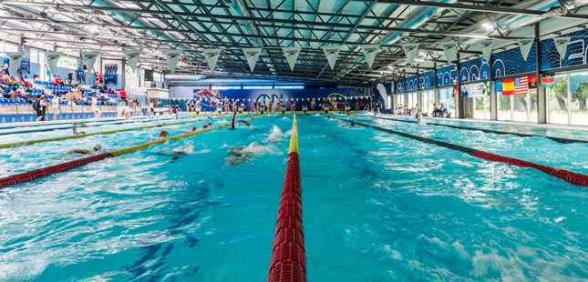 Meeting Internacional do Porto reúne 375 nadadores