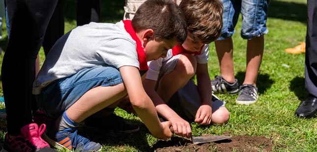 Oficinas de Verão desafiam crianças a construir o seu primeiro herbário