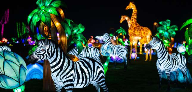 Festival de luzes chega ao Zoo Santo Inácio
