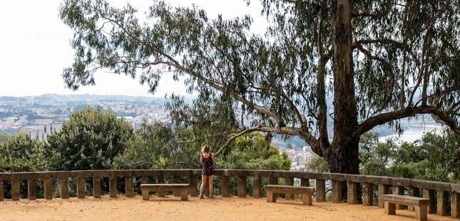 Parque de São Roque tem novos miradouros com vistas para o Douro