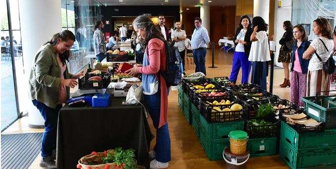 Porto quer aproximar produtores biológicos e consumidores