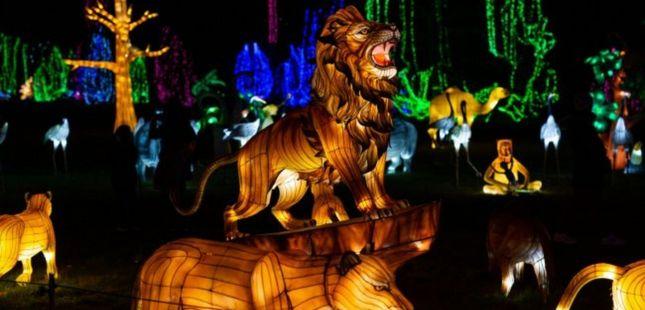 Festival “Luzes Selvagens” encerra no próximo mês