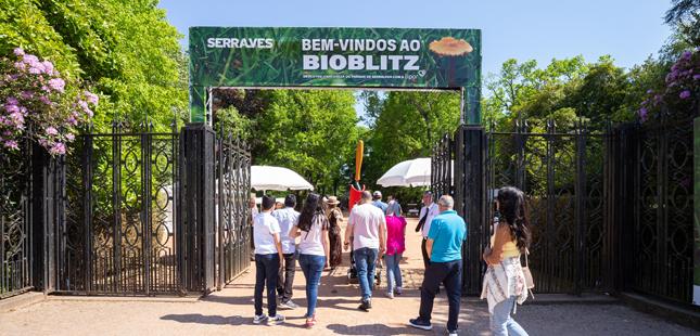 Serralves vive a “maior festa da biodiversidade em Portugal”