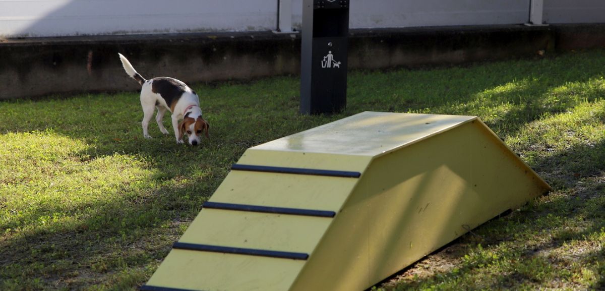 Vamos à rua! Município de Gaia inaugura novo parque... para cães
