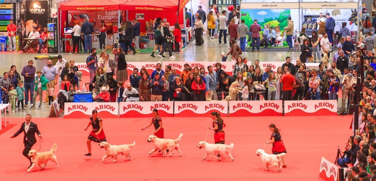 Braga recebe exposição internacional de cães, gatos e animais exóticos