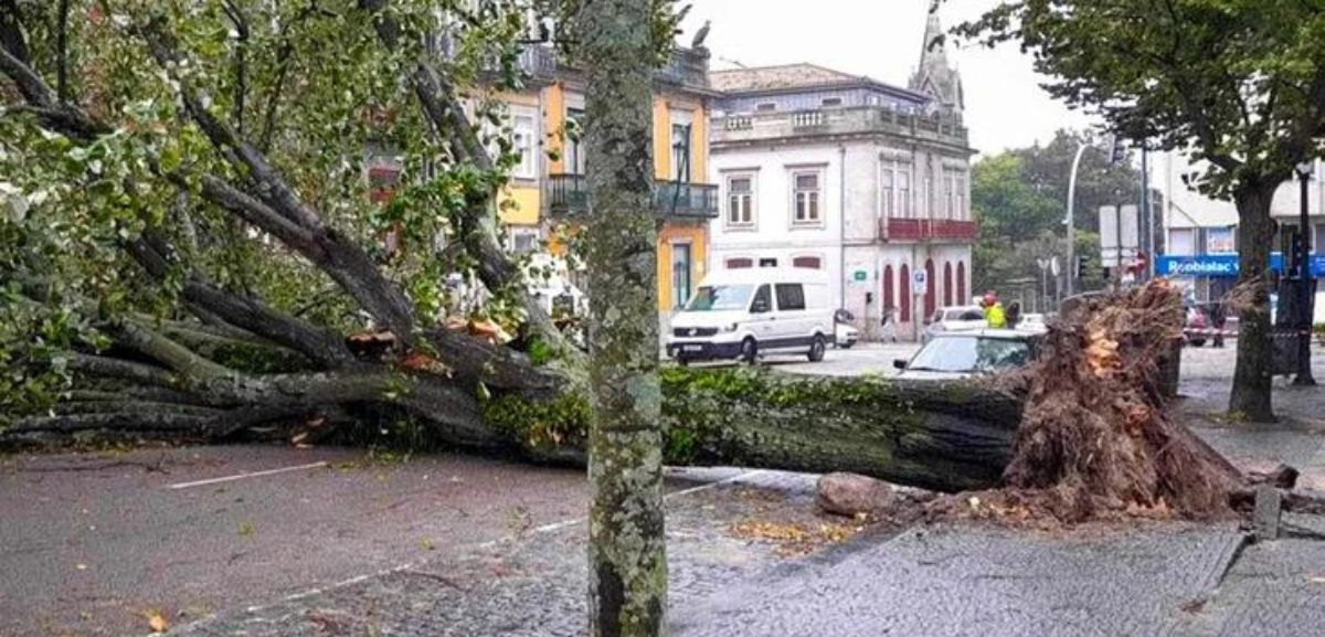 Trânsito na Praça da República cortado devido a queda de árvore de grande porte (atualizada)