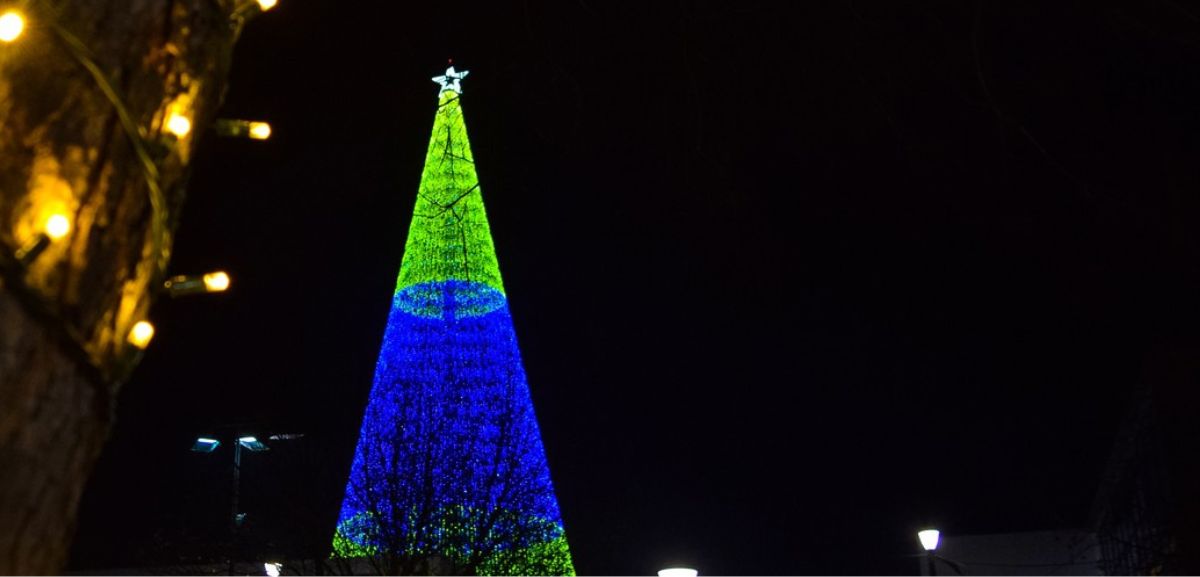 Grande Porto tem a maior árvore de Natal do país. Luzes ligam-se este sábado