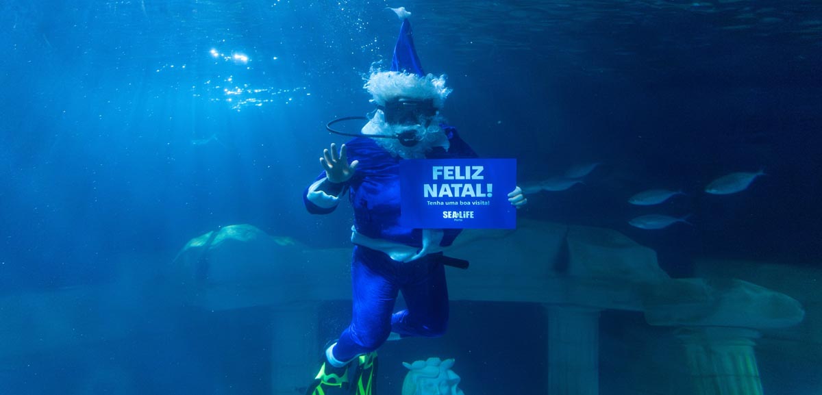 O “Pai Natal dos Oceanos” volta a mergulhar nas águas do Sea Life Porto