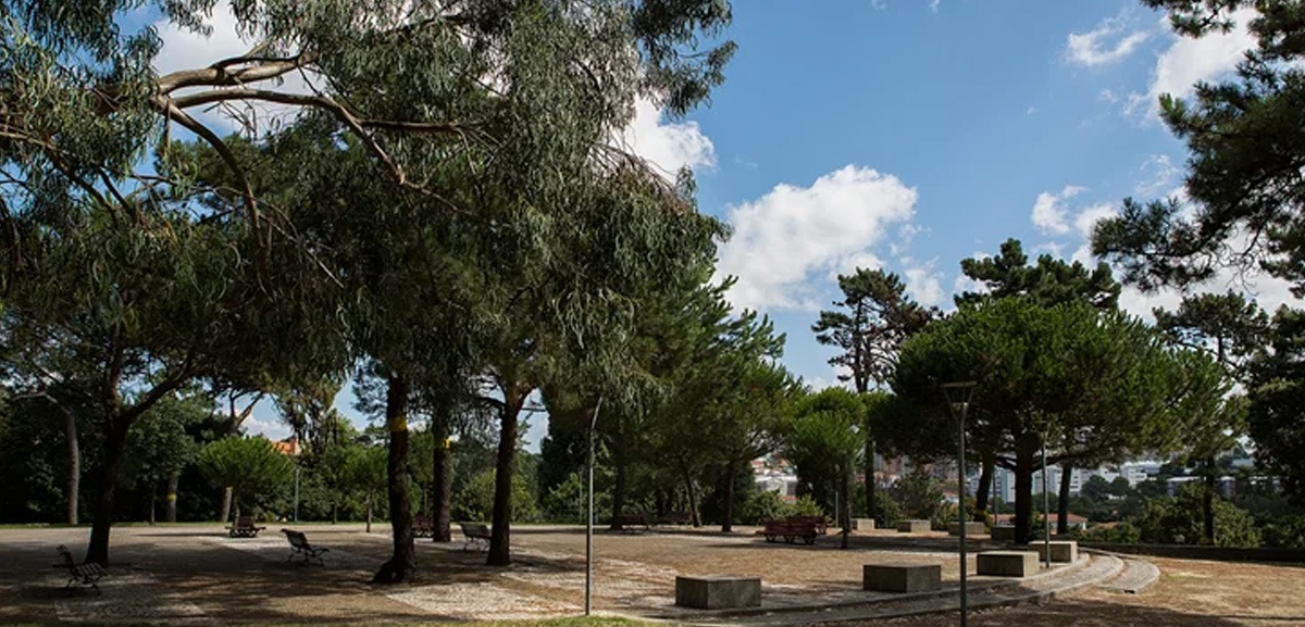 Câmara do Porto vai reforçar iluminação do Parque da Pasteleira