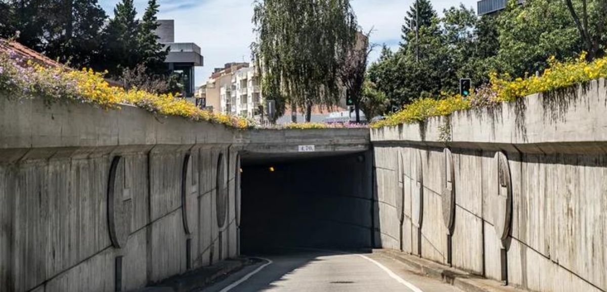 Porto encerra túneis do Campo Alegre na próxima semana
